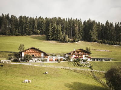 Bild 2 aus  Biobauernhof - Karerhof - Stilvolle Lodges und Appartements