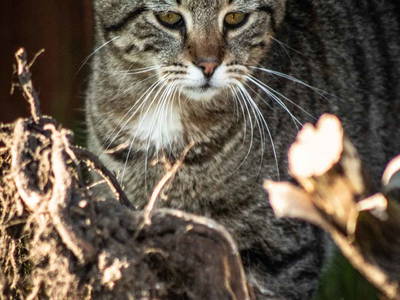 Bild 13 aus  LandSelection Ostsee: Gutshof Bastorf