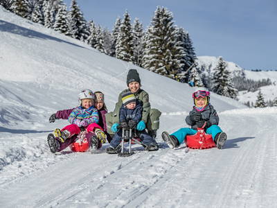 Bild 43 aus  Ferienwohnungen Perfeldhof