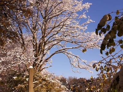 Bild 25 aus  Gut Petersdorf