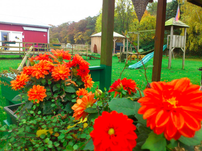 Bild 16 aus  Ahoi Ostsee:  Bauernhof und OstseeUrlaub - Ferienhof Becker in Dahme