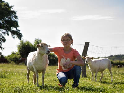 Bild 11 aus  Ostseebauernhof