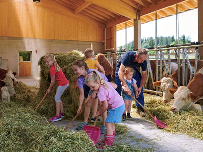 Bild 32 aus  LandSelection Hanznhof