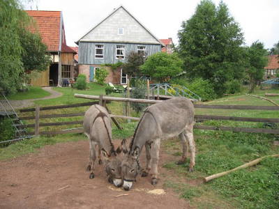 Bild 12 aus  Hof Gerina