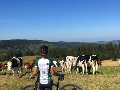 Bikeparadies Schwarzwald
