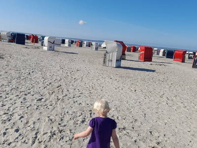 Bild 36 aus  Hof Janssen