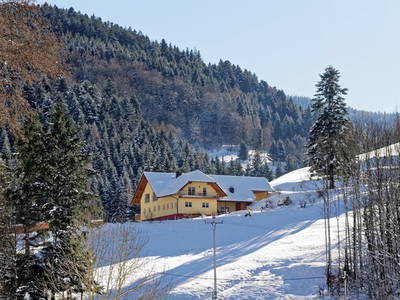 Bild 7 aus  Bierpeterhof