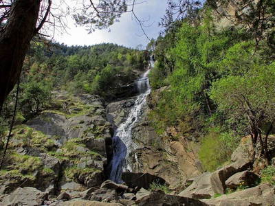 Bild 48 aus  Pirchnerhof