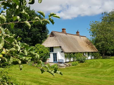 Bild 2 aus  Urlaub bei Familie Schmidt in Wippendorf