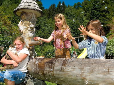 Bild 12 aus  Martenhof