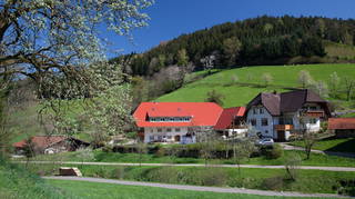Schätzlehof aus Winden (Elztal)