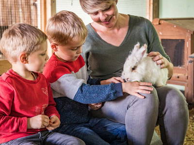 Bild 30 aus  Simmernhof Mossendorf