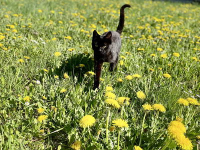 Bild 11 aus  Schelterhof