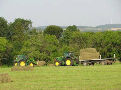 Bild 6 aus  Ferienbauernhof Gerig