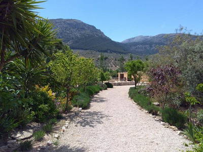 Bild 12 aus  Cortijo Los Lobos