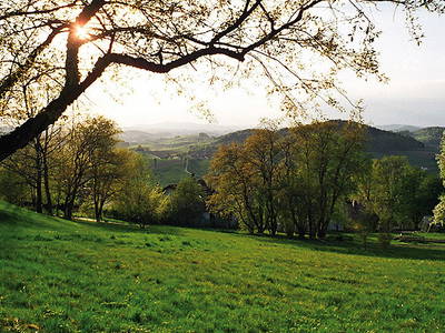 Bild 21 aus  Frongahof