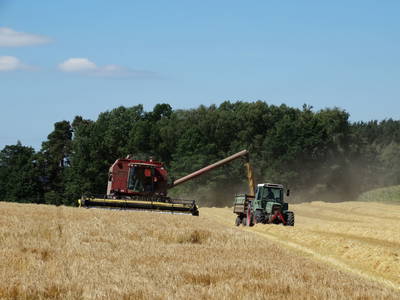 Bild 16 aus  Schwarz-Hof