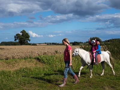 Bild 17 aus  Ferienhof Greggersen