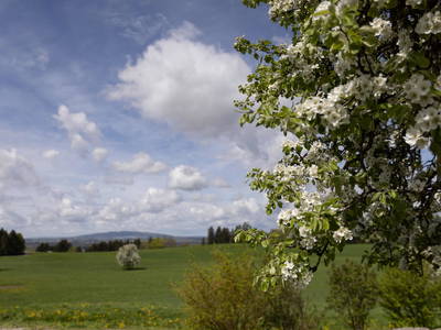Bild 27 aus  Erholung - Natur pur - Urlaub auf dem Loyerhof