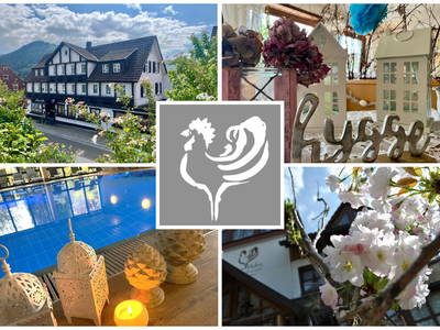 Bild 30 aus  Goldener Hahn - Hyggeliges Aparthotel mit Frühstücksbuffet, Pool & Sauna