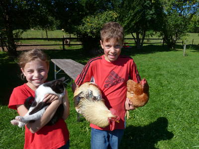 Bild 21 aus  Gutshof Armbruster