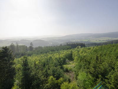Bild 12 aus  Landurlaub im Sauerland auf dem Ferienhof Verse