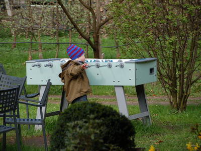 Bild 15 aus  Callhof Biohof