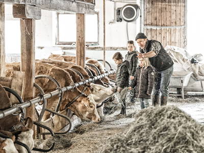 Bild 16 aus  Zillertaler Hofchalets