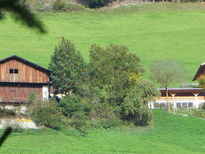 Bild 3 aus  Raffreiderhof