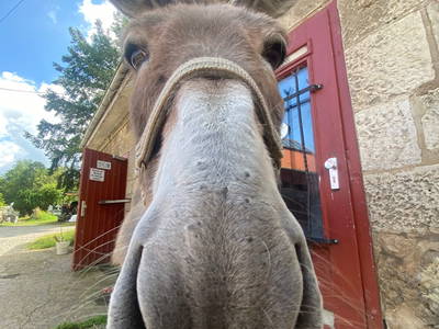 Bild 7 aus  Campingplatz Edersee-Paradies