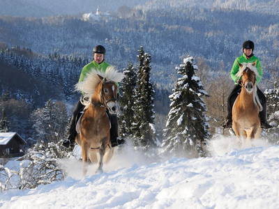 Bild 28 aus  Hochgallinger Hof  - Der Reiterhof  für Groß und  Klein