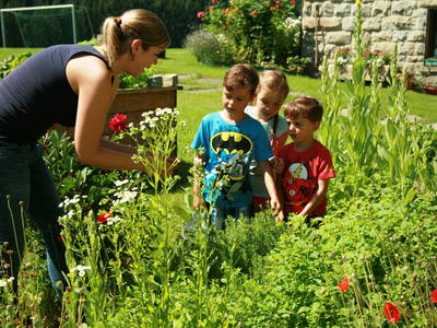 Bauerngarten am Bauernhof Gründinger
