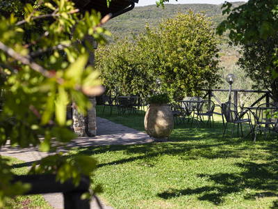 Bild 30 aus  Tenuta Il Cicalino