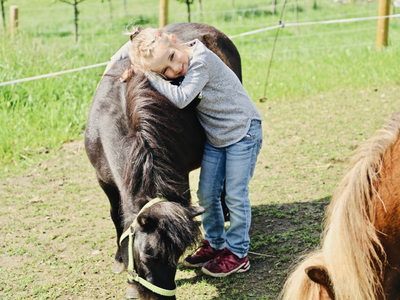 Bild 16 aus  Ferienhof König
