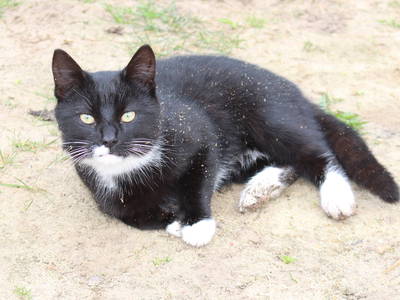 Bild 20 aus  Mühlenhof Wohlenbüttel