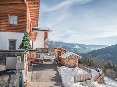 Bild 5 aus  Appartement Birkenhof - Urlaub mit Pferden und Alpakas