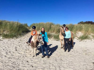 Bild 14 aus  Bauernhof Claussen Fehmarn