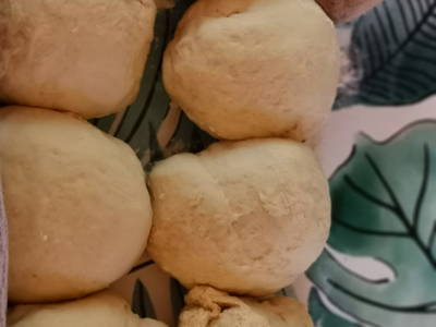 Bild 157 aus  Le Colombié - Ferienhäuser an der Dordogne mieten