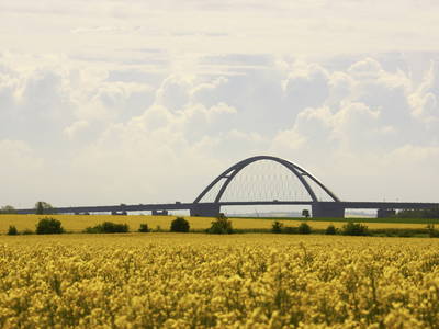 Bild 9 aus  Ferienhof Familie Jörn Höper
