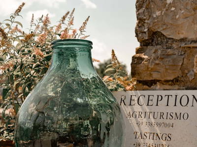 Bild 19 aus  LandSelection Weingut "IL PALAGIO"