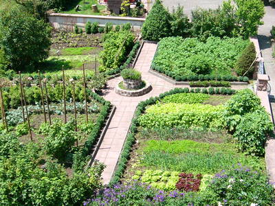 Bild 47 aus  Schlosshof - der Urlaubsbauernhof