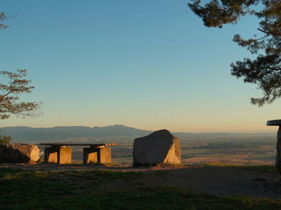 Bild 19 aus  Maienbrunnenhof