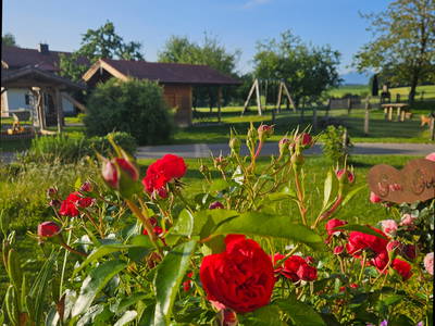 Bild 58 aus  Frankhof