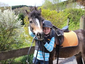 Bild 45 aus  Ferienhof Pulte