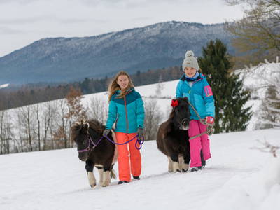 Bild 30 aus  Urlaub am Schoffahanslof im Bayerischen Wald: Natur, Abenteuer & Erholung für die ganze Familie“