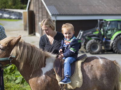 Bild 20 aus  Gut Frielinghausen