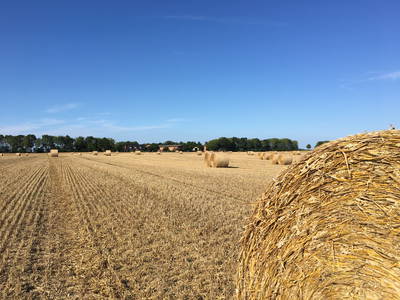 ein Teil der bewirtschafteten Flächen um uns herum