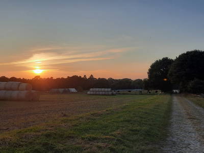 Sonnenuntergang Hohenaverbergen