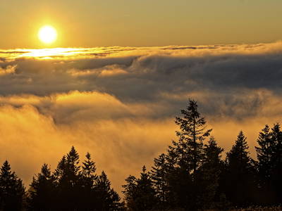 Nebelmeer vom Feldberg aus betrachtet