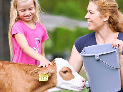 Bild 7 aus  Wastleicherhof am Chiemsee